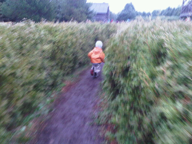 @coffeewithjulie Running in Mazes at Saunders Farm