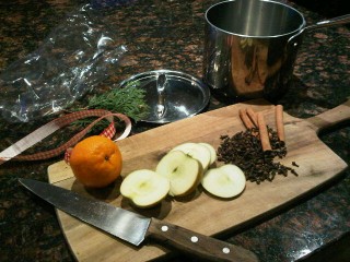 Ingredients for natural Christmas aroma