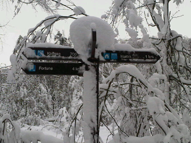 Snowy signpost