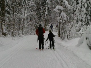 Skiiing in Gatineau Park