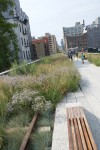 Chelsea Highline park in NYC.