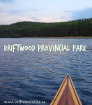 driftwood-banner
